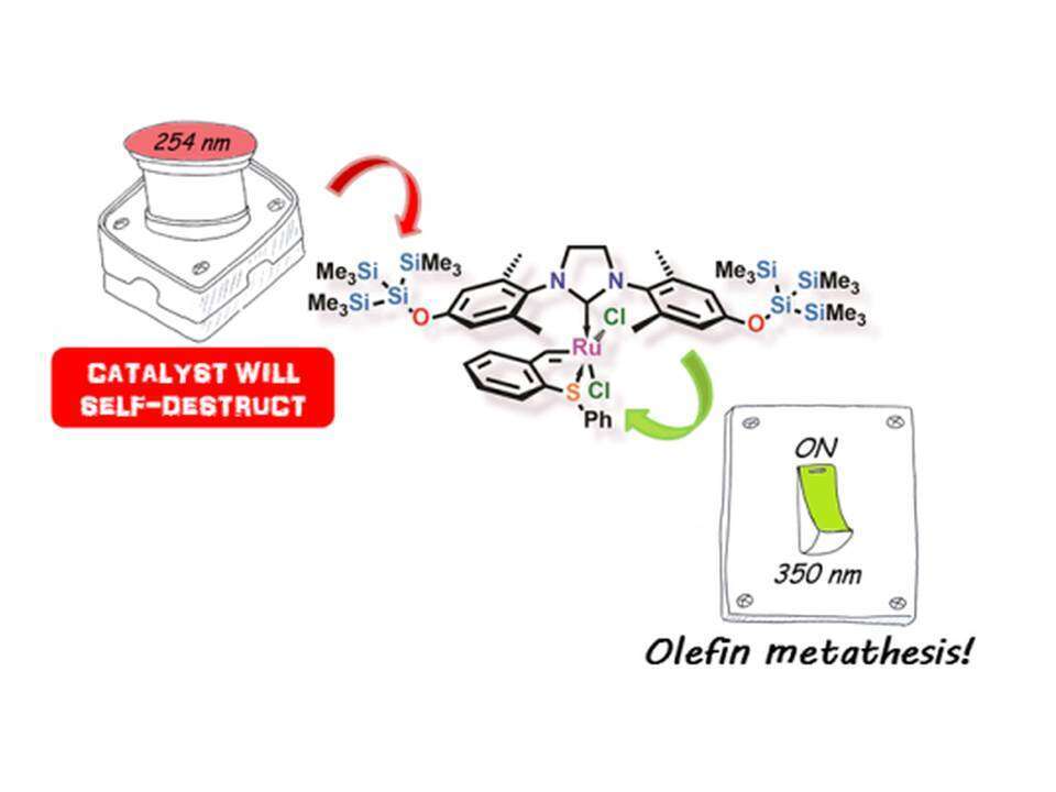 Figure 1: